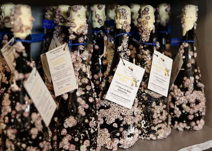 Magnificent Apartment, Close To The Beach, In