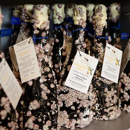 Magnificent Apartment, Close To The Beach, In